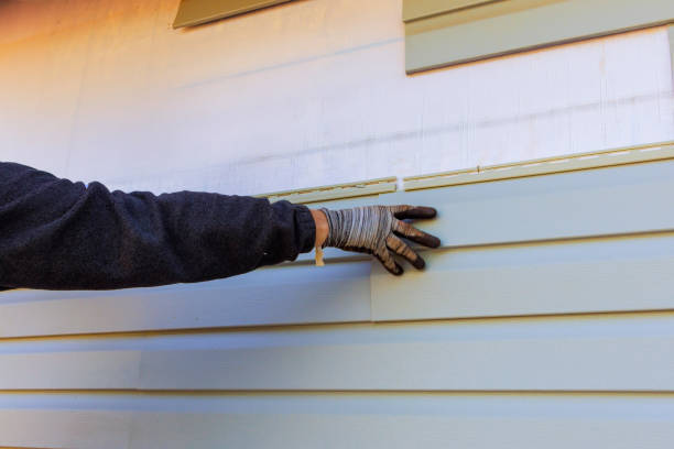 Trusted Pelican Bay, FL Siding Experts